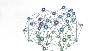 Prof. Dr. Friedl Mentoring Logo